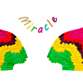 E4b_M-wingsland-white-back1