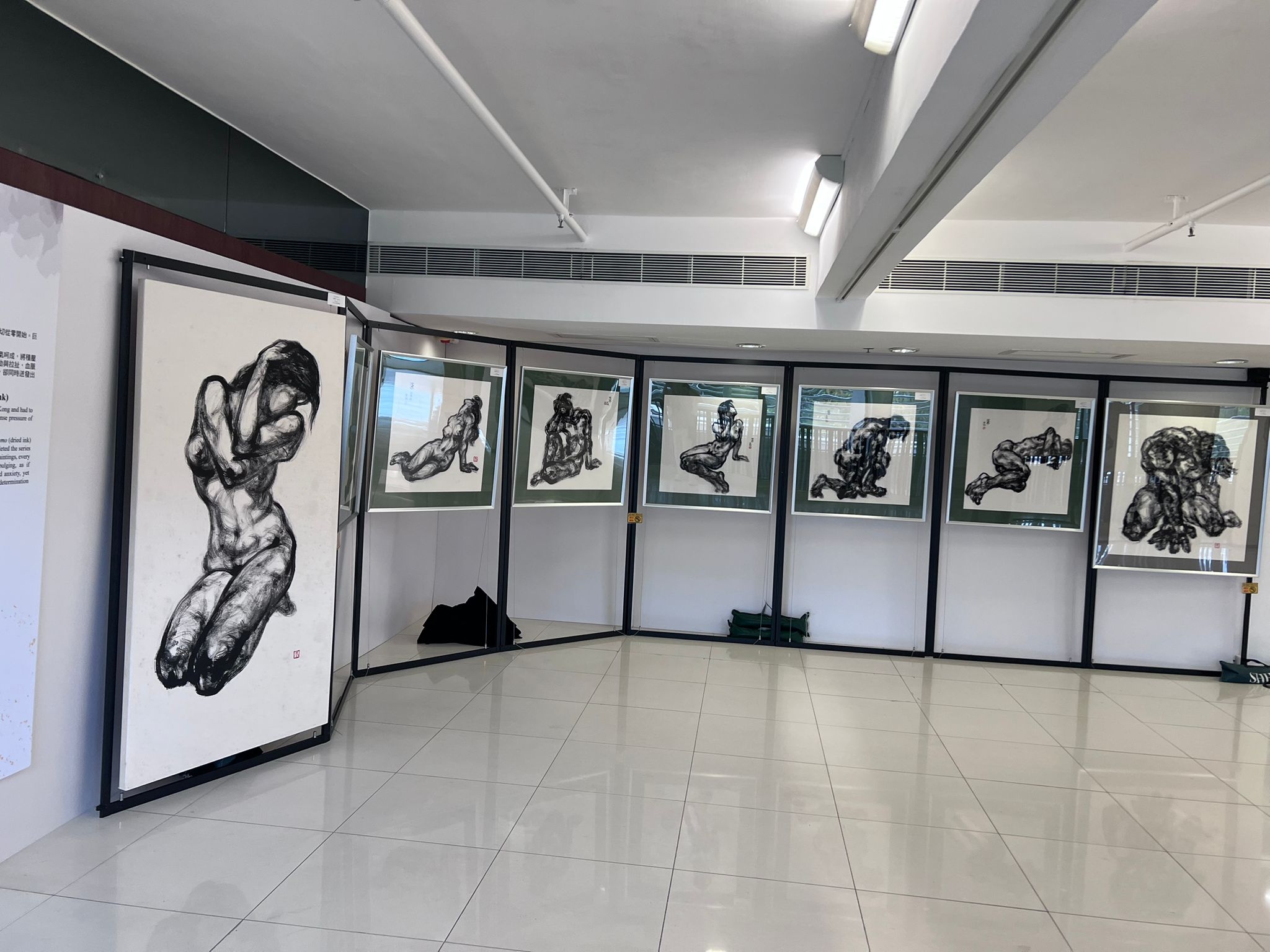 Self Photos / Files - image 02