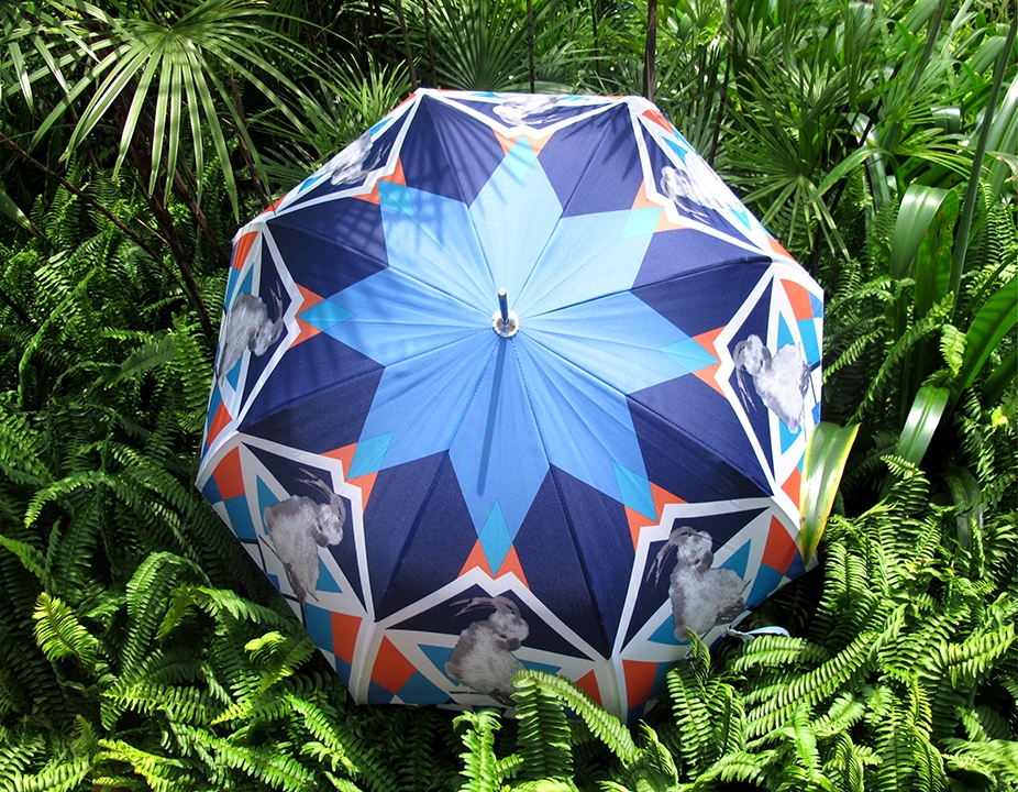 Self Photos / Files - parrot umbrella-content-1
