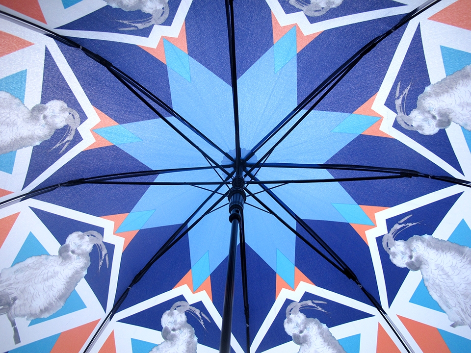 Self Photos / Files - parrot umbrella-content-2